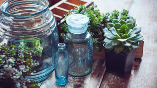 Table jar plants glass jar - a glass jar free wallpaper