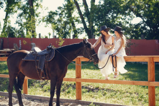 Two girls white dresses horse - a brown horse free wallpaper