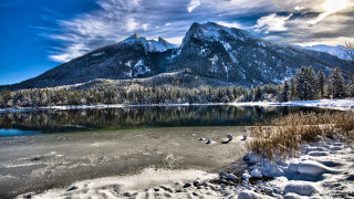 Snowy mountains lake birds bernd - a few bird free wallpaper