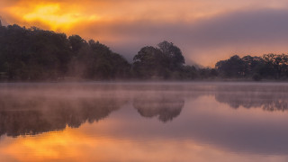 Lake foggy sky trees cityscape - mist free wallpaper for desktop