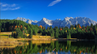 Lake mountains trees bird landscape - free autumn wallpaper