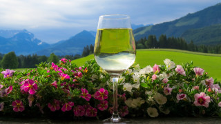Wine glass flower mountains evening - evening free wallpaper for desktop