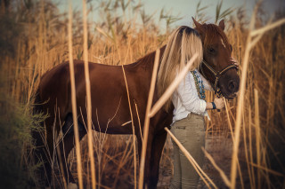 Woman horse field blonde bicycle - free vintage wallpaper