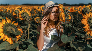 Woman hat sunflowers autumn fire - a field of sunflowers free wallpaper