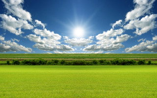 Sunny field mountains trees ocean - a bright sun in the sky above free wallpaper