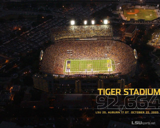 Stadium crowd night tiger sign - a large crowd of people free wallpaper