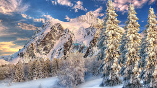 Snowy mountain trees cloudy sky 5 - a snowy mountain free wallpaper