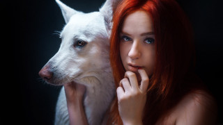 Redhair white dog gothic portrait - a white dog free wallpaper