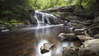 Waterfall forest rocks green trees - a forest area free wallpaper for desktop