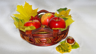 Basket apples fruit fall vibrant - a white tablecloth free wallpaper for desktop