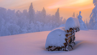 Snowy bench dusk mountain trees - a bench free wallpaper