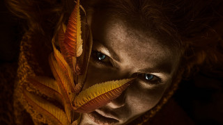 Woman strange look leaf snake - a strange look free wallpaper