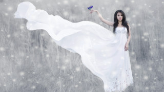 Woman white dress blue bird - dreamlike free wallpaper