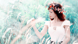 Woman white dress field flower - chen rong free wallpaper