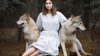 Woman white dress woods wolf - two wolf free wallpaper