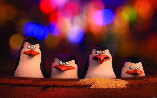 Penguins googly eyes bright background - dramatic free wallpaper for desktop