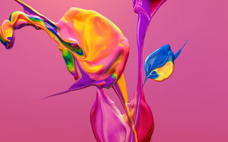 Colorful flower pink background blue 2 - a colorful flower free wallpaper