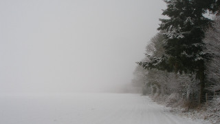 Snowy road fence forest girls - the side of it free wallpaper