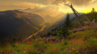 Valley mountains flowers sunset clouds - a view of a valley free wallpaper for desktop
