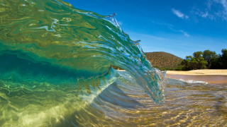 Wave beach sky trees ocean - a clear blue sky in the background free wallpaper