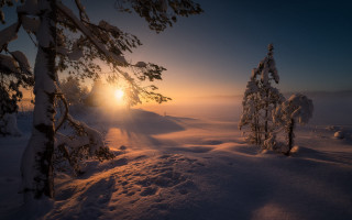 Snowy landscape trees sunset matte - a snowy landscape free wallpaper for desktop