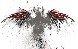 Red black bird spread wings - black wing free wallpaper