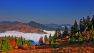 Mountain forest lake clouds autumn - the sky and trees free wallpaper