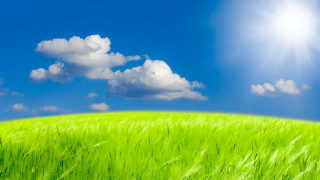 Green grass blue sky clouds 25 - a bright sun free wallpaper