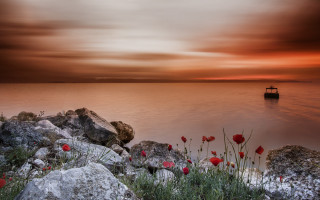 Boat rocks flowers sunset mystical - anton graff free wallpaper for desktop