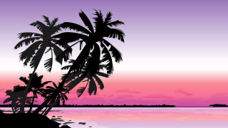 Sunset palm tree silhouette ocean - a small island in the distance free wallpaper for desktop