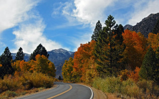 Autumn mountains road trees sky - tree and mountains free wallpaper for desktop