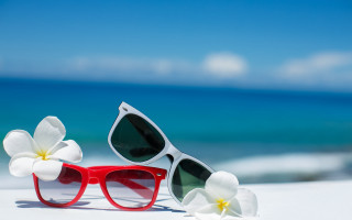 Sunglasses flower beach blue sky - a pair of sunglasses free wallpaper
