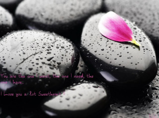 Pink flower black rocks water 3 - carol sutton free wallpaper for desktop