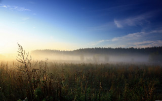 Foggy field sunrise trees mountains - free halloween wallpaper