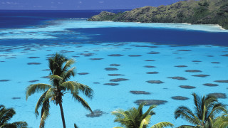 Blue lagoon palm mountains sky - small dot free wallpaper