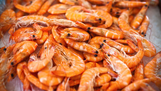 Shrimp pepperoni autumn photorealism fire - top of a table free wallpaper for desktop