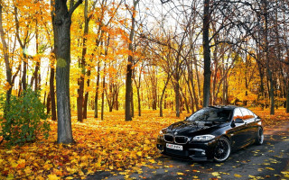 Black car woods autumn leaves - a black car free wallpaper