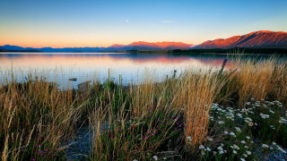 Lake mountains sunset flowers grass - free sunset wallpaper