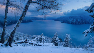 Lake snowy trees mountains dusk - dusk free wallpaper
