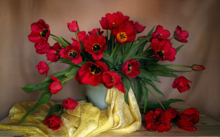 Vase red flowers yellow table - a yellow blanket free wallpaper