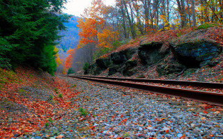 Train track autumn leaves hill - a bunch of trees free wallpaper