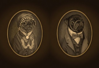 Dogs formal tuxedo illustration magic - two dog free wallpaper for desktop