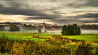 Barn foggy field trees grass - a barn in a field free wallpaper