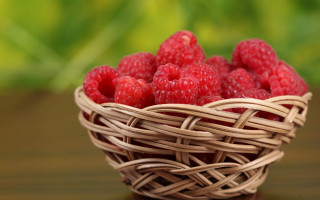 Raspberry basket green background blurry 2 - boetius adamsz bolswert free wallpaper for desktop
