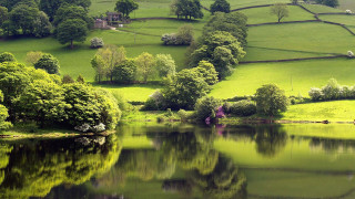 Lake green hills trees house 2 - lush green hill and trees free wallpaper