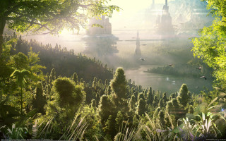 River trees birds bridge sunlight - the sunlight free wallpaper