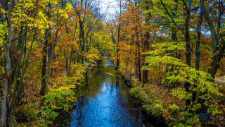 Autumn foliage river forest saturated - free spring wallpaper