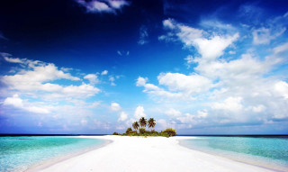 Deserted beach palm tree blue 2 - a white sand beach free wallpaper
