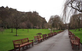 Wooden benches park cherry blossoms - alexander johnston free wallpaper