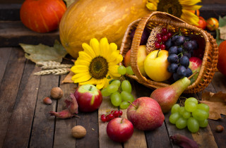 Harvest fall vibrant stilllife fruit - sunflower free wallpaper